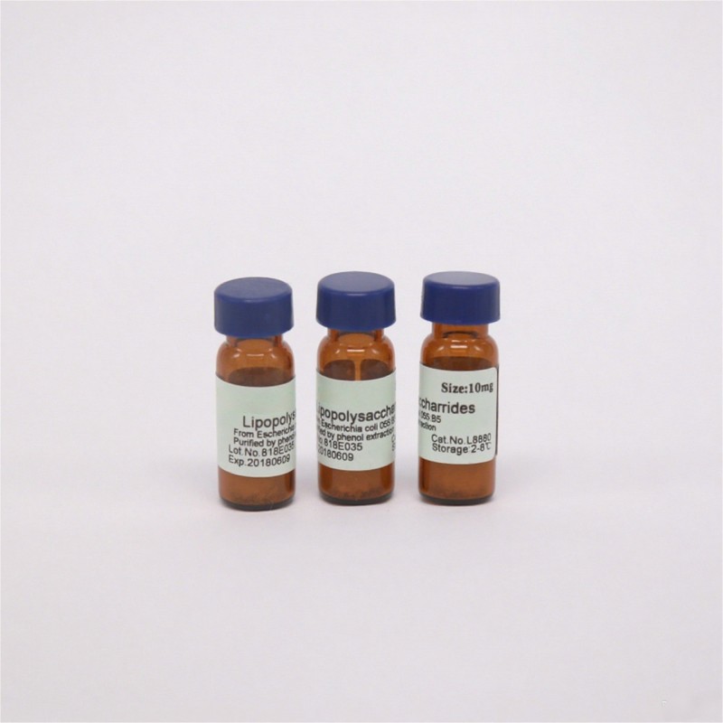 DAPI Stain Factory - OEM Nuclear DNA Staining Reagent