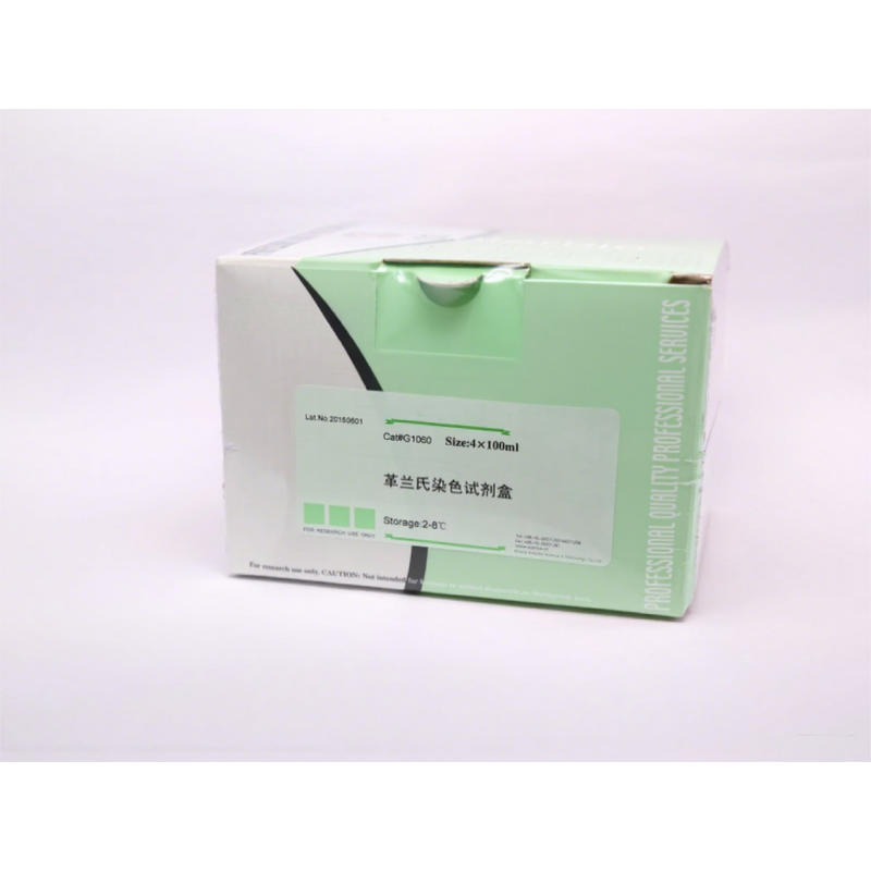 Prestained Protein Marker Manufacturer - OEM 10-250KDa Western Blot