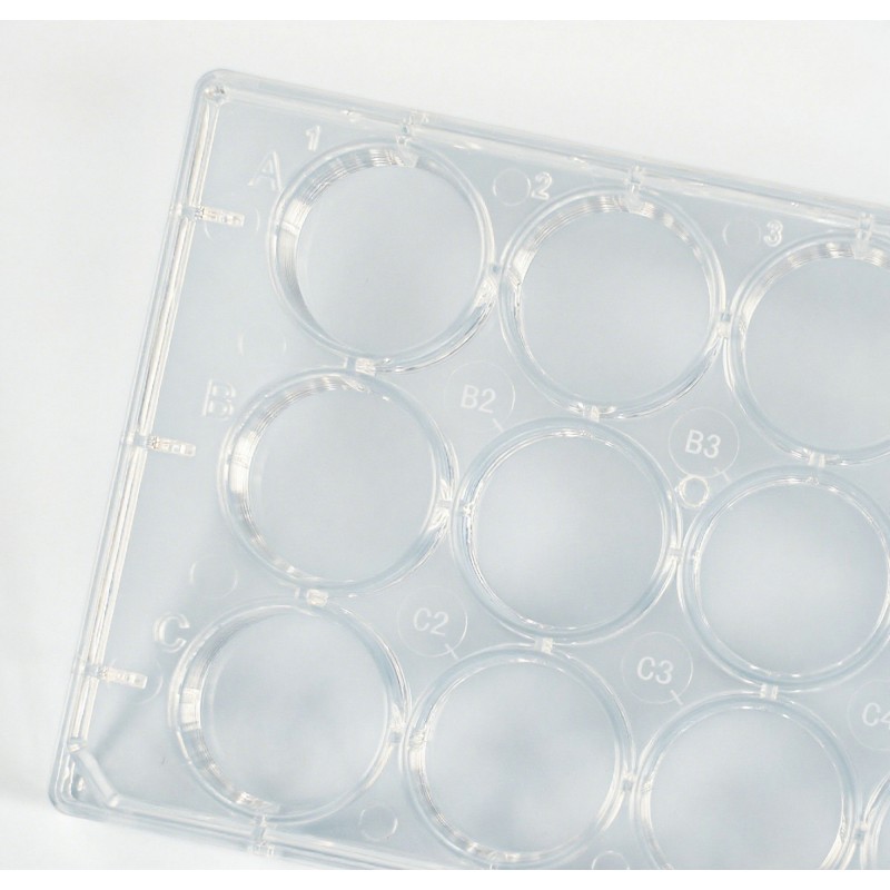 24-Well Plate Factory - OEM PS Sterile Ready-to-Use