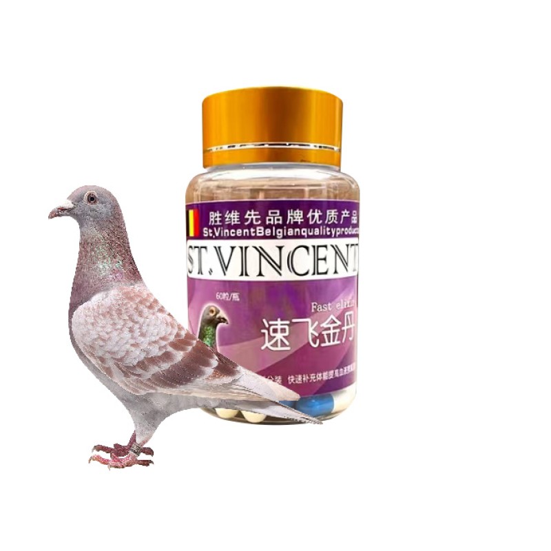 Fast Fly Capsules Factory - Racing Pigeon Performance Enhancement