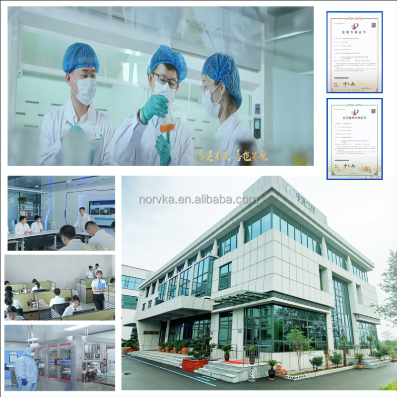 Fish Oil Supplement Factory - Omega 3 Vitamin Liquid Feed