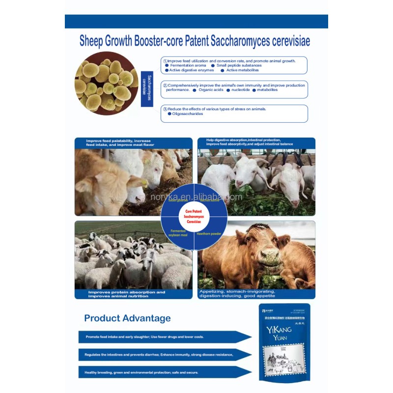 Animal Vitamin Supplement Factory - Pig Goat Sheep Feeding Custom