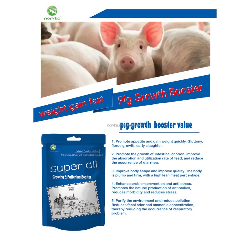 Animal Vitamin Supplement Factory - Pig Goat Sheep Feeding Custom