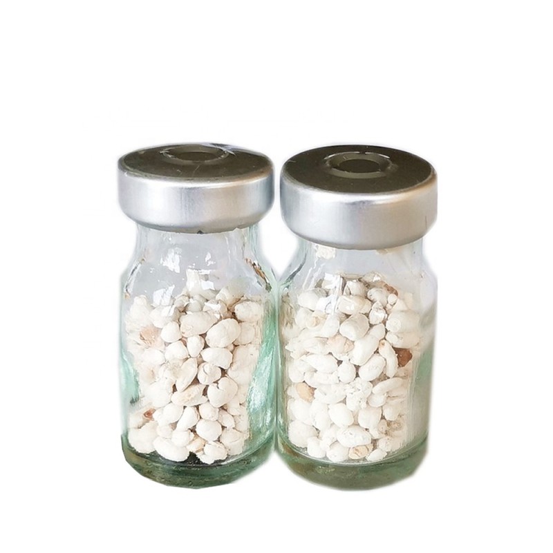 Carp Pituitary Gland Factory - Fish Breeding Spawning Support