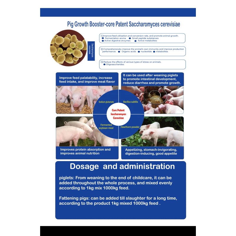 Animal Milk Replacer Manufacturer - Piglet Calf Protein Nutrition