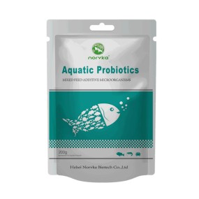 Fish Feed Binder Manufacturer - Probiotic Concentrate Aquatic