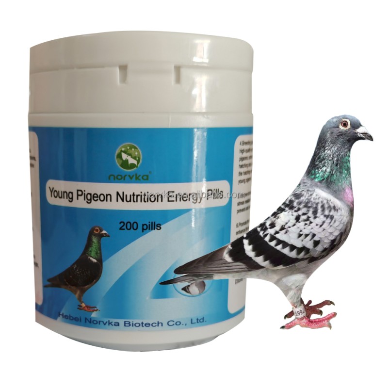 Fast Fly Capsules Factory - Racing Pigeon Performance Enhancement