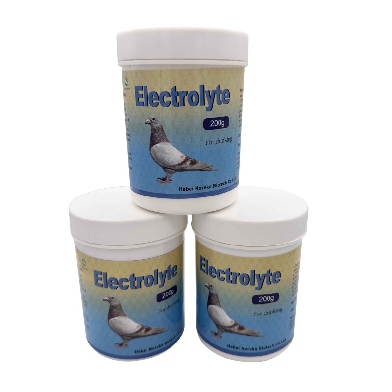 Pigeon Electrolyte Supplement Manufacturer - Racing Homing Bird Drink