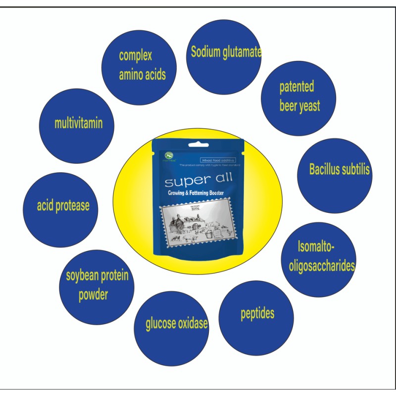 Animal Vitamin Supplement Factory - Pig Goat Sheep Feeding Custom