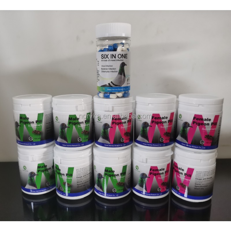 Female Pigeon Breeding Pills Manufacturer - Production Time Extension