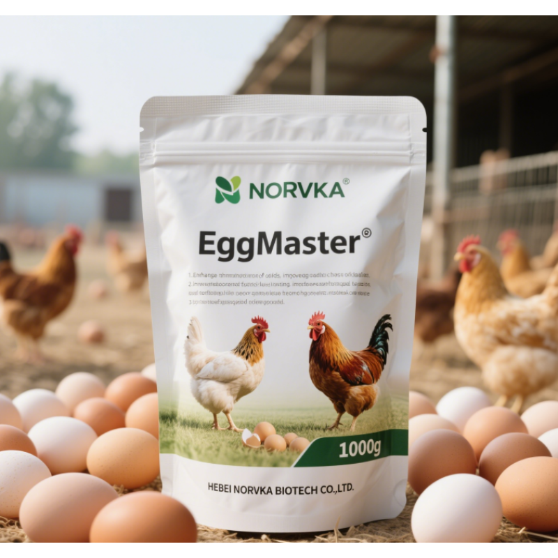 Chicken Feed Premix Factory - Layers Egg Booster Custom