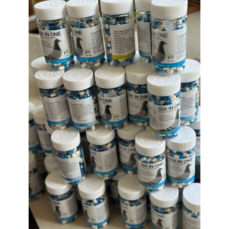 Pigeon Inflammation Supplement Supplier - Enteritis Treatment 120 Pills
