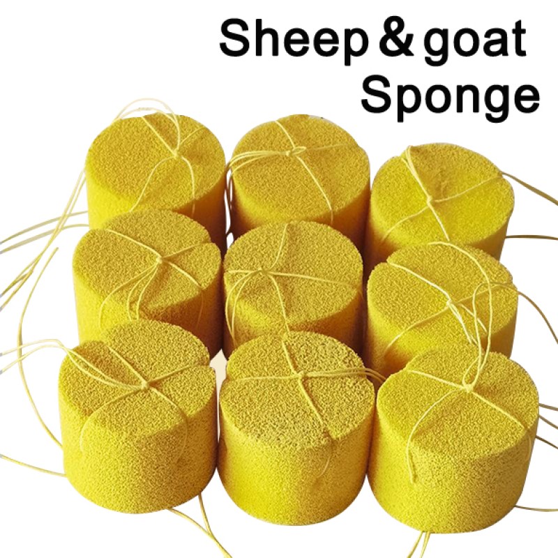 Sheep Sponge Supplier - Ewe Goat Vaginal Breeding Bulk