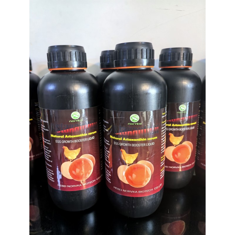 Astaxanthin Oil Manufacturer - Poultry Egg Supplement Growth