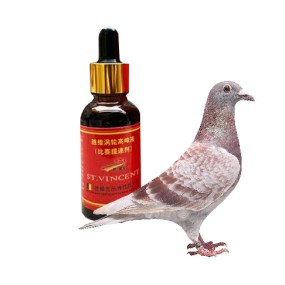 Pigeon Energy Liquid Factory - Turbo Peak Racing Support