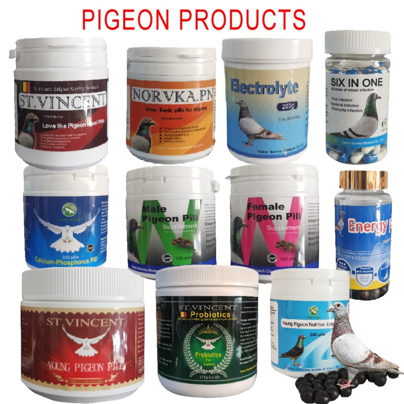 Pigeon Fish Oil Capsules Factory - Racing Bird Strength Enhancement