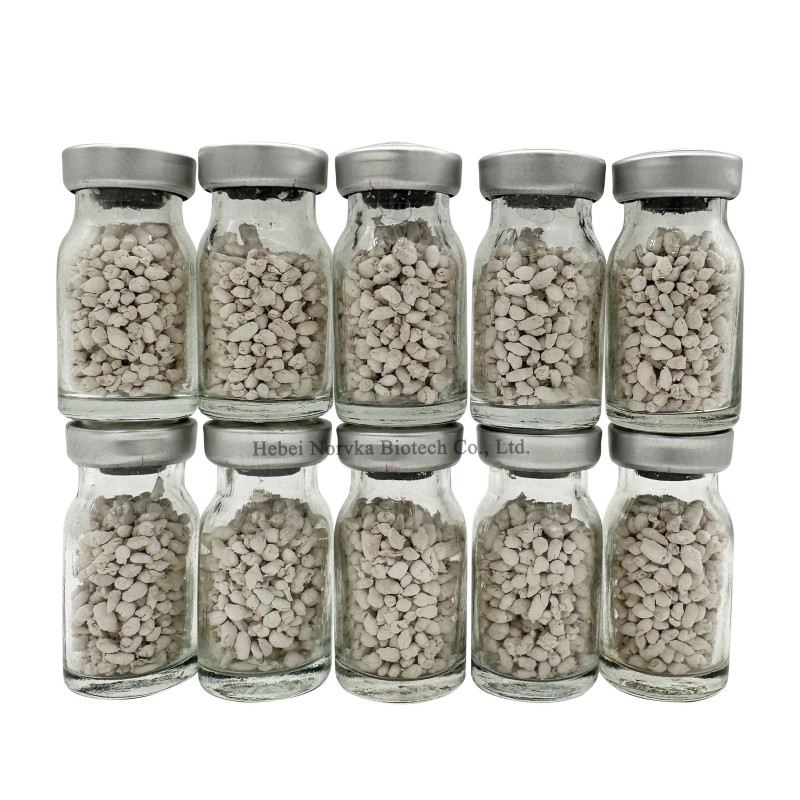 Carp Pituitary Gland Supplier - Fish Breeding Spawning Aid