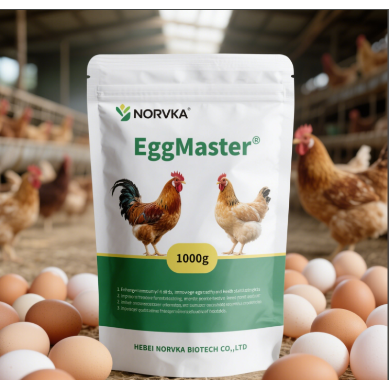 Chicken Feed Premix Factory - Layers Egg Booster Custom