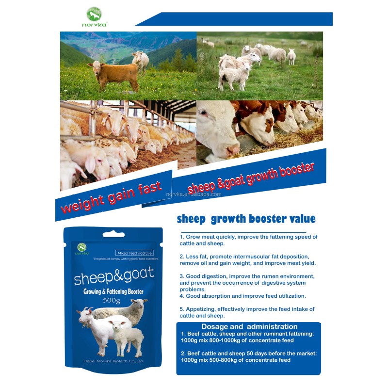 Animal Vitamin Supplement Factory - Pig Goat Sheep Feeding Custom