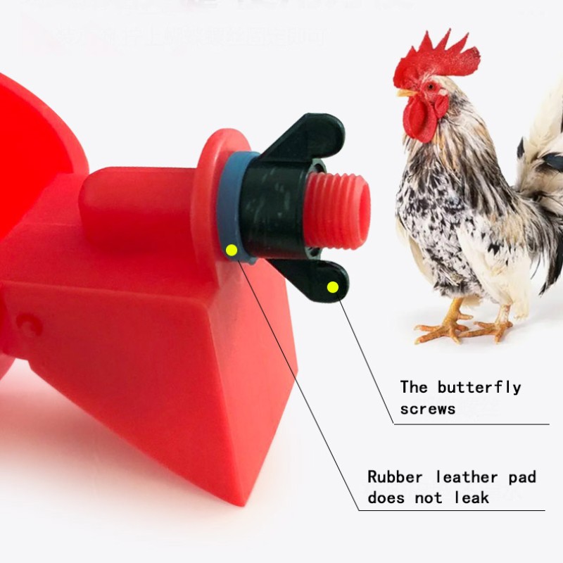 Pigeon Feeder Bowl Supplier - Poultry Drinking Water Accessories