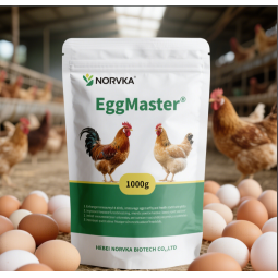 Egg Booster Premix Supplier - Layers Chicken Feed Enhancement
