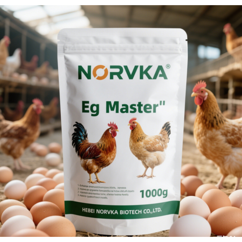 Poultry Feed Supplement Manufacturer - Fish Liver Oil Multivitamin