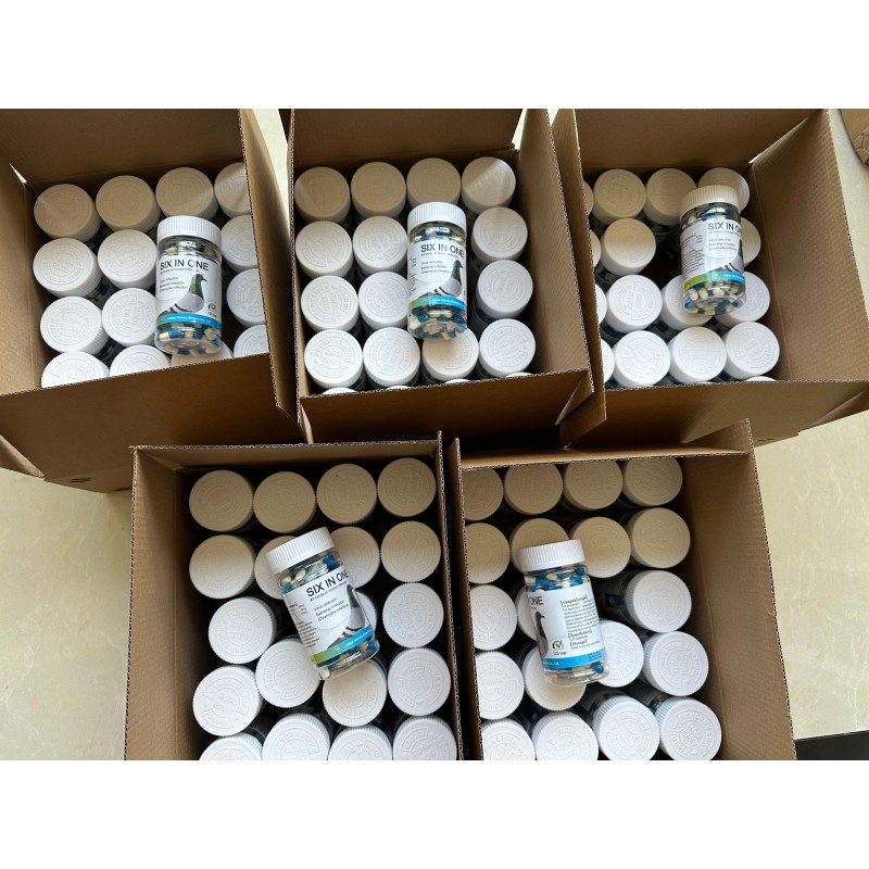 Pigeon Vitamin Supplements Manufacturer - Young Bird Nutrition 200 Pills