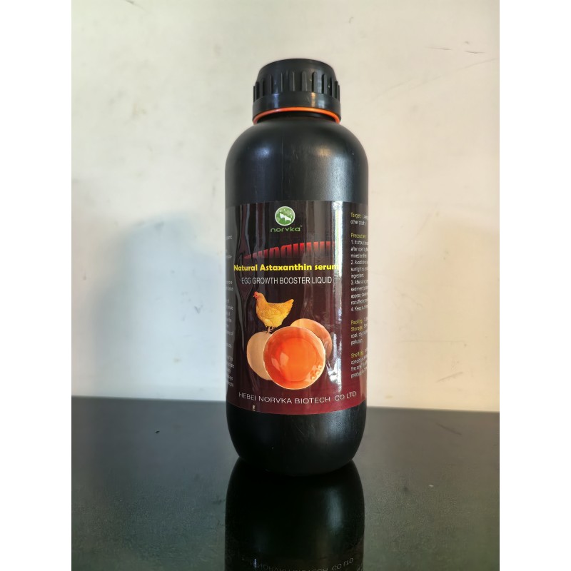 Astaxanthin Oil Manufacturer - Poultry Egg Supplement Growth