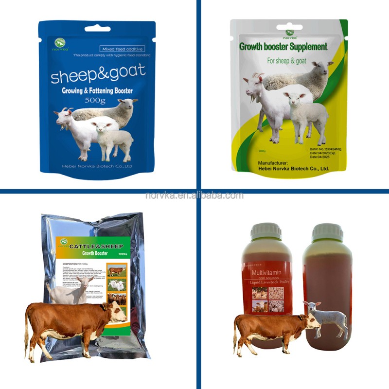 Livestock Growth Booster Supplier - Poultry Fattening Feed additive