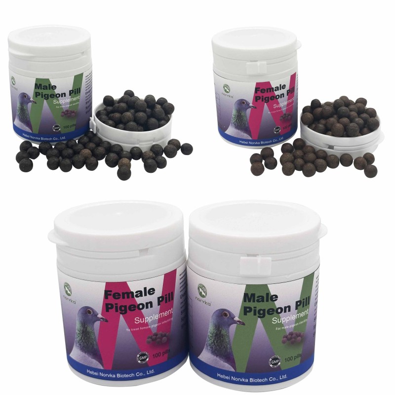 Female Pigeon Breeding Pills Manufacturer - Production Time Extension