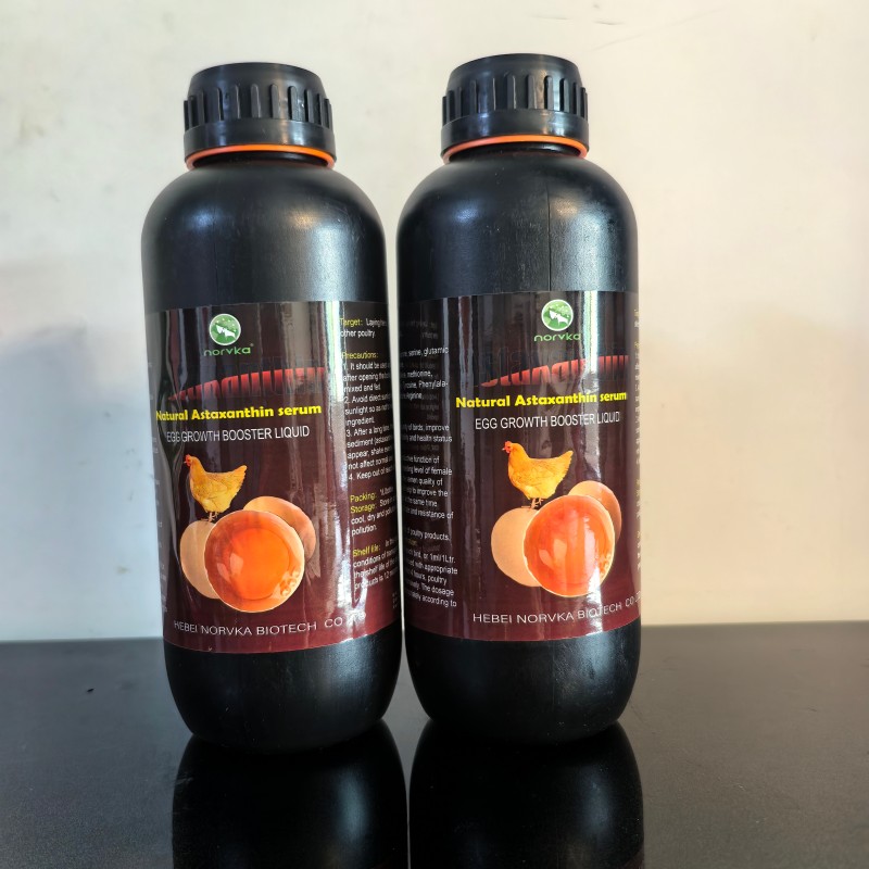 Astaxanthin Oil Manufacturer - Poultry Egg Supplement Growth