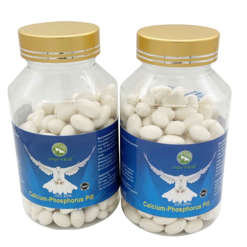 Fast Fly Powder Factory - Racing Pigeon Energy Support Bulk