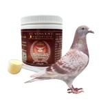 pet nutrition supplement