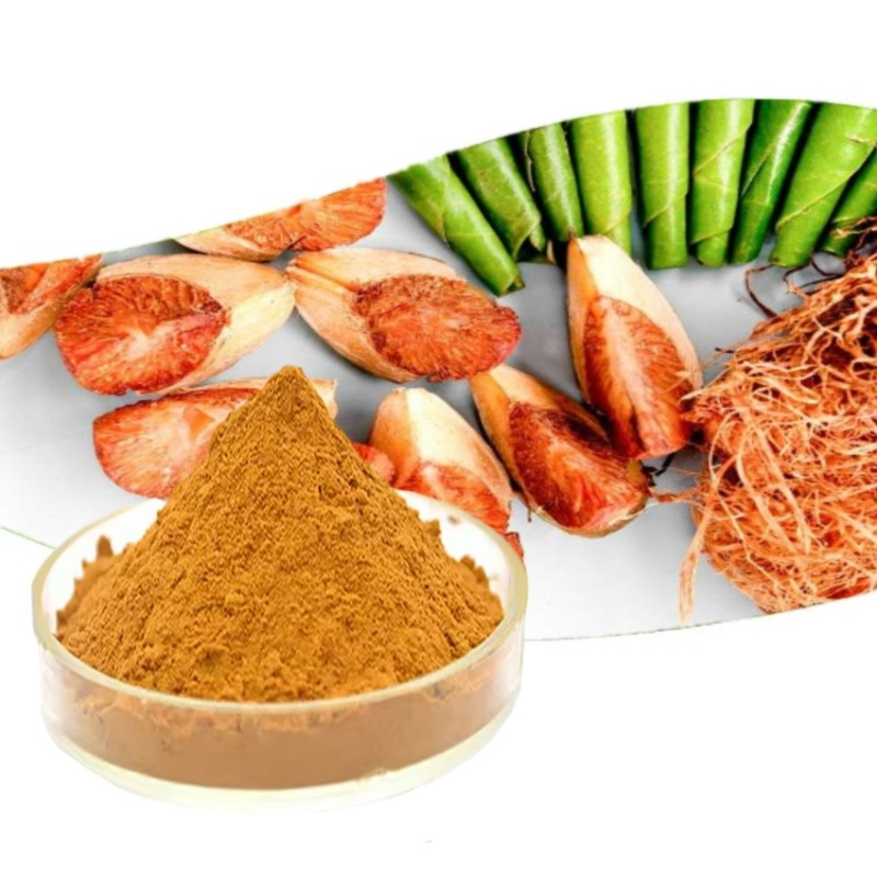 Wholesale Price Natural Areca Nut Extract Powder Herbal Supplement 10:1 Betel Nut Extract