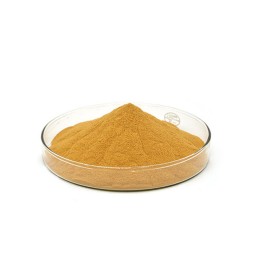 Factory Price Henna Leaves Extract Powder 20:1 Tint Henna Extract