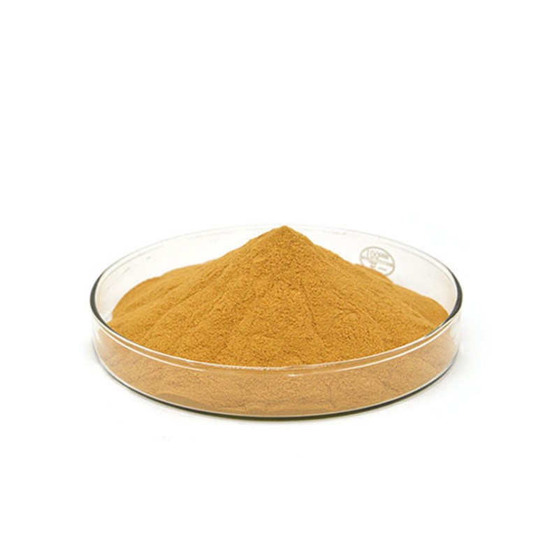 Factory Price Henna Leaves Extract Powder 20:1 Tint Henna Extract
