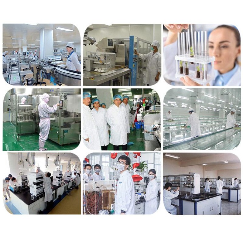 Top Quality Tocotrienols Solubles Powder 50% 90% Bulk Rice Bran Extract Tocotrienols Powder