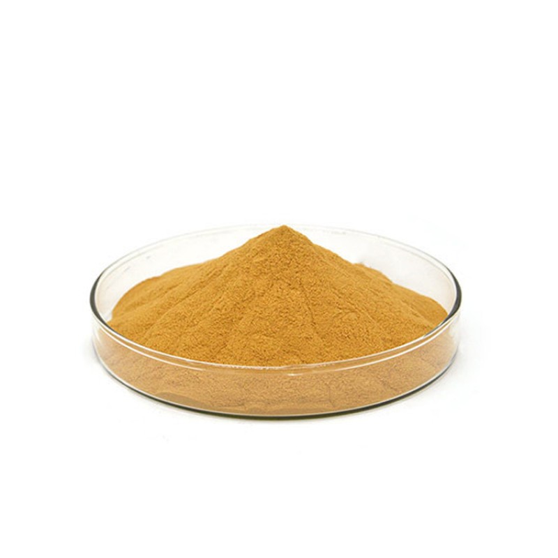 Top Quality Pelargonium Sidoides Extract Powder 10:1 20:1 in Stock
