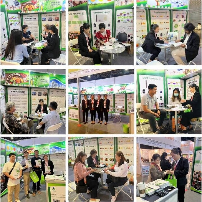 High Quality Pure Organic Chuanxiong Extractnatural Natural Ligusticum Wallichii Root Extract Powder