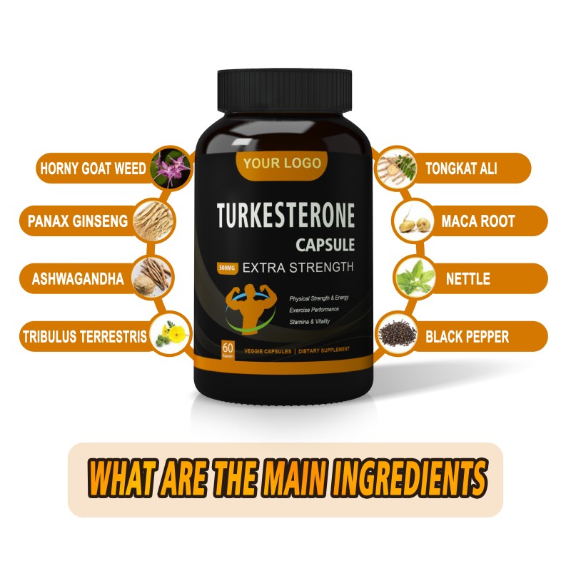 Private Label Natural Ajuga Turkestanica Extract Supplement 10% 40% 500mg Turkesterone Capsules