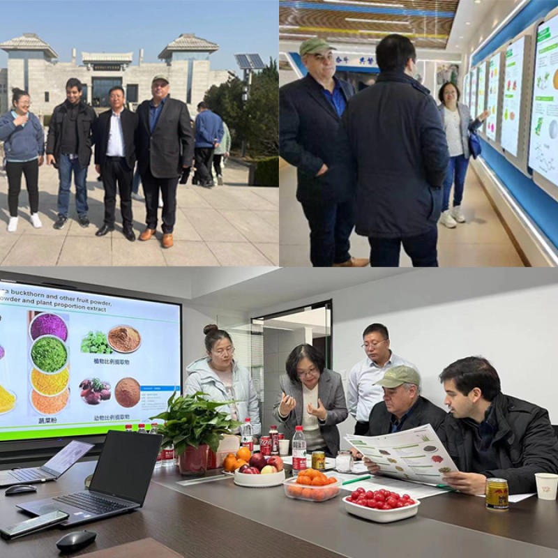 Food Grade Dkp Dipotassium Phosphate Price Powder Fertilizer Bulk Dipotassium Phosphate