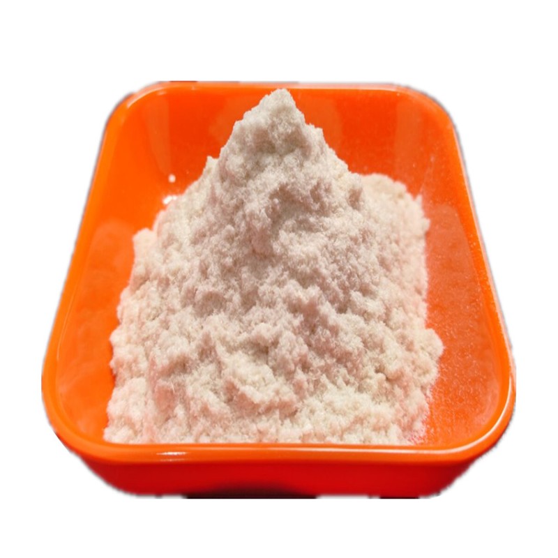 High Quality Lactobacillus Salivarius Organic Probiotics Lactobacillus Salivarius Powder