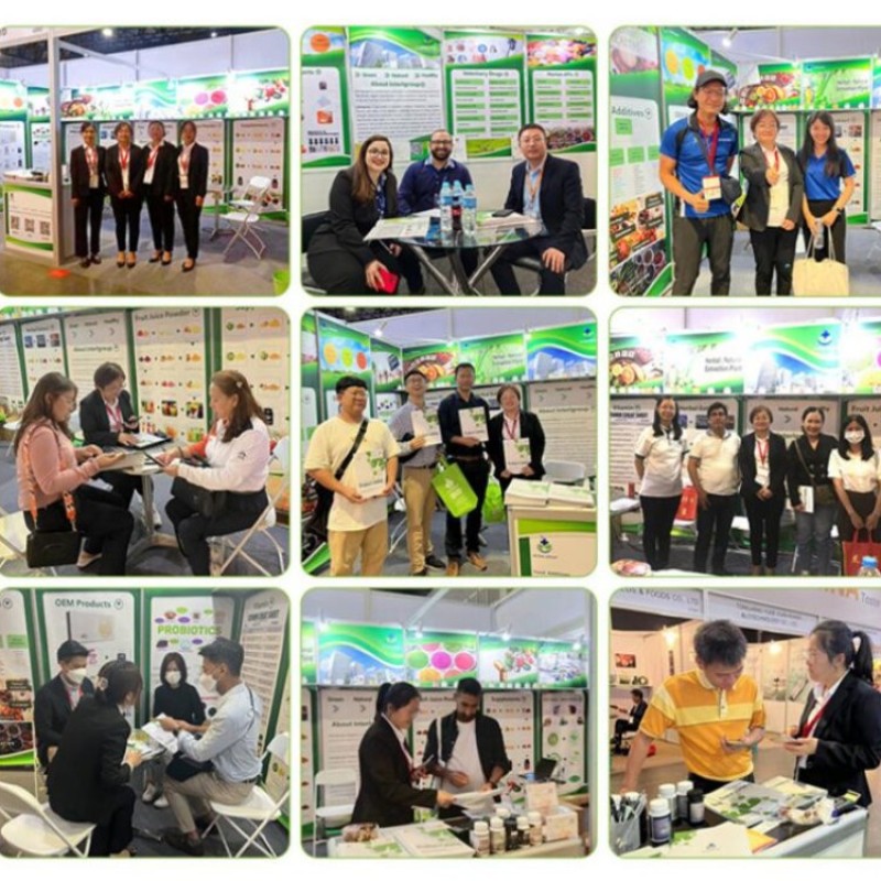 Wholesale Price Natural Areca Nut Extract Powder Herbal Supplement 10:1 Betel Nut Extract