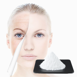 Food Grade Hydroxyproline /HYP Supplements Hydroxyproline in Cosmetic