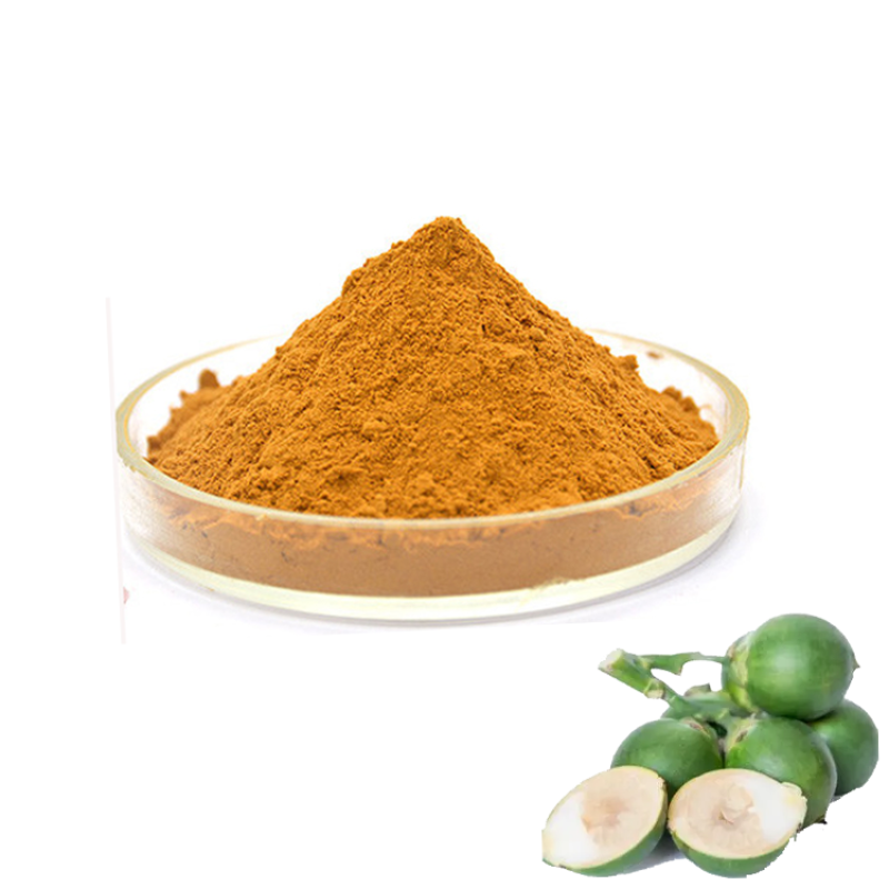 Wholesale Price Natural Areca Nut Extract Powder Herbal Supplement 10:1 Betel Nut Extract