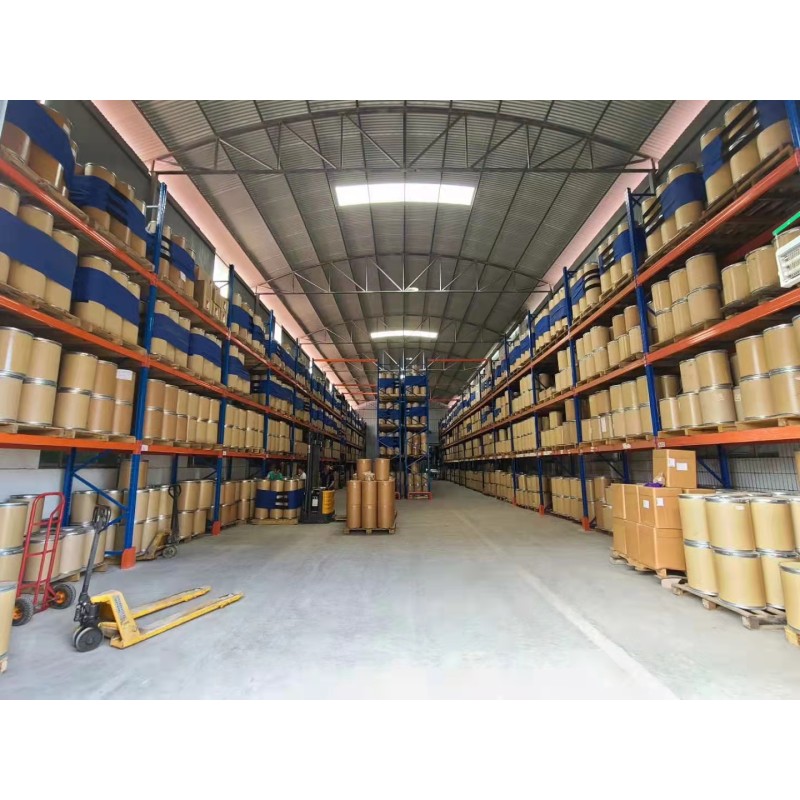 Natural Chlorophyll Extract 95% Organica Chlorophyll Powder