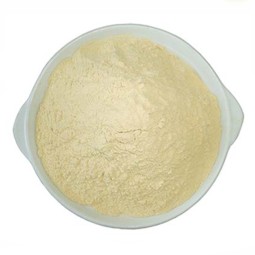 Scutellaria Baicalensis Root Extract Powder Best Price Pure 98% Baicalin