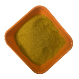 High Quality Pure Organic Chuanxiong Extractnatural Natural Ligusticum Wallichii Root Extract Powder