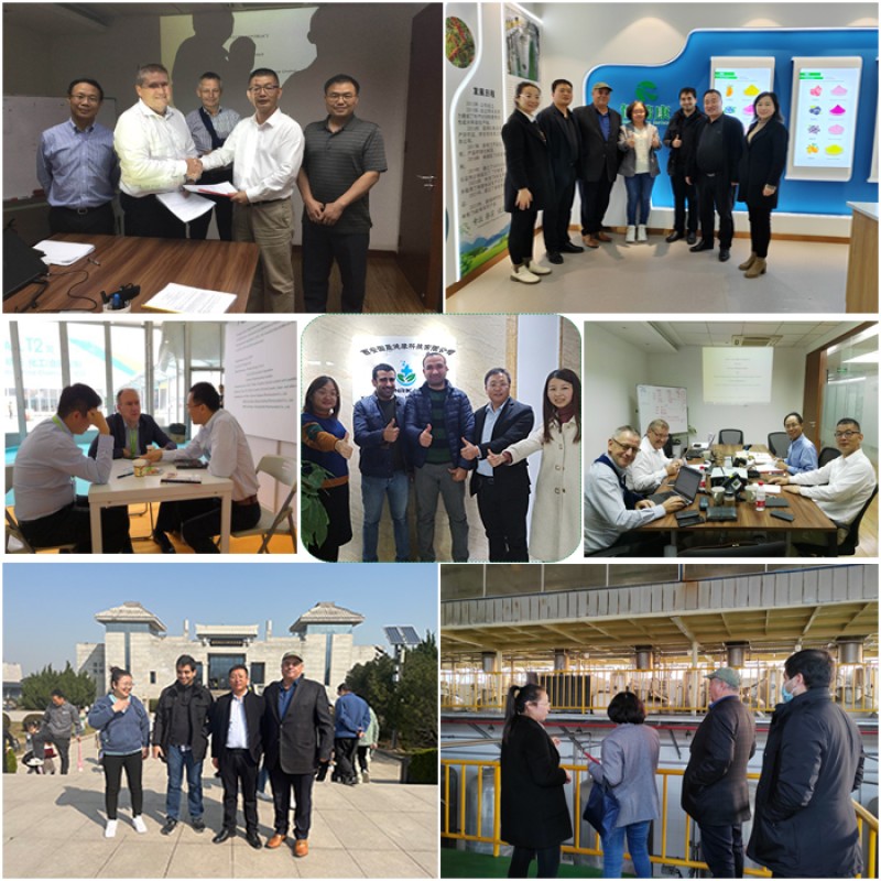 Scutellaria Baicalensis Root Extract Powder Best Price Pure 98% Baicalin