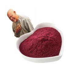 High Quality Iso Certificate Bulk 98% Pyrroloquinoline Quinone Food Supplements Pure Pqq Powder